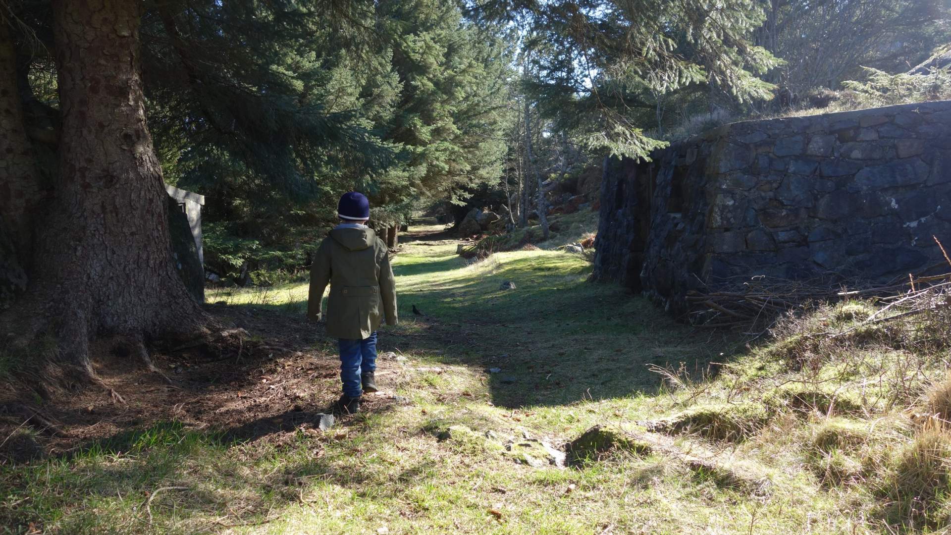 Syreneset Fort