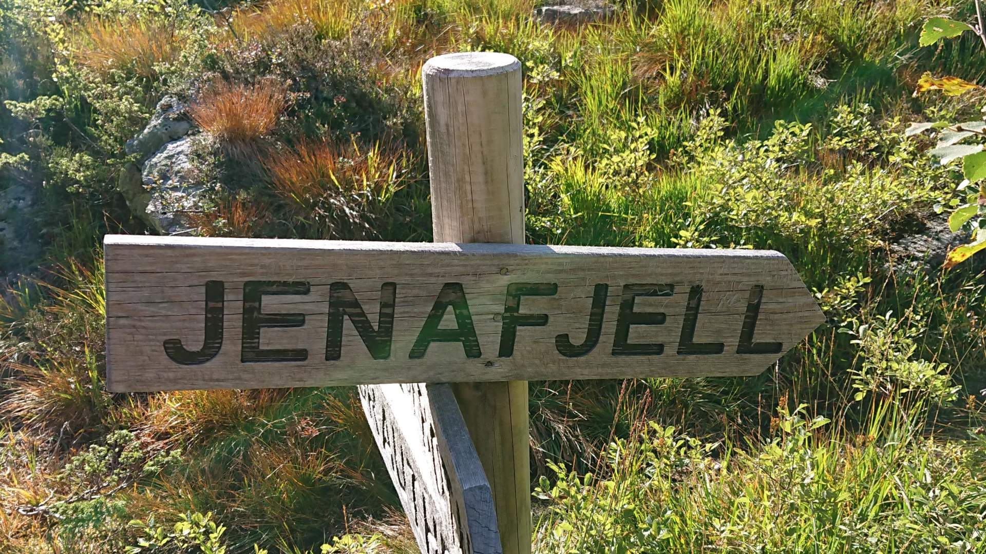 Jenafjell i Lysebotn