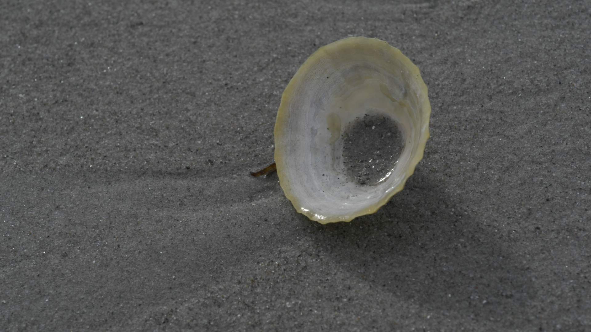 Retirostranda i Molde