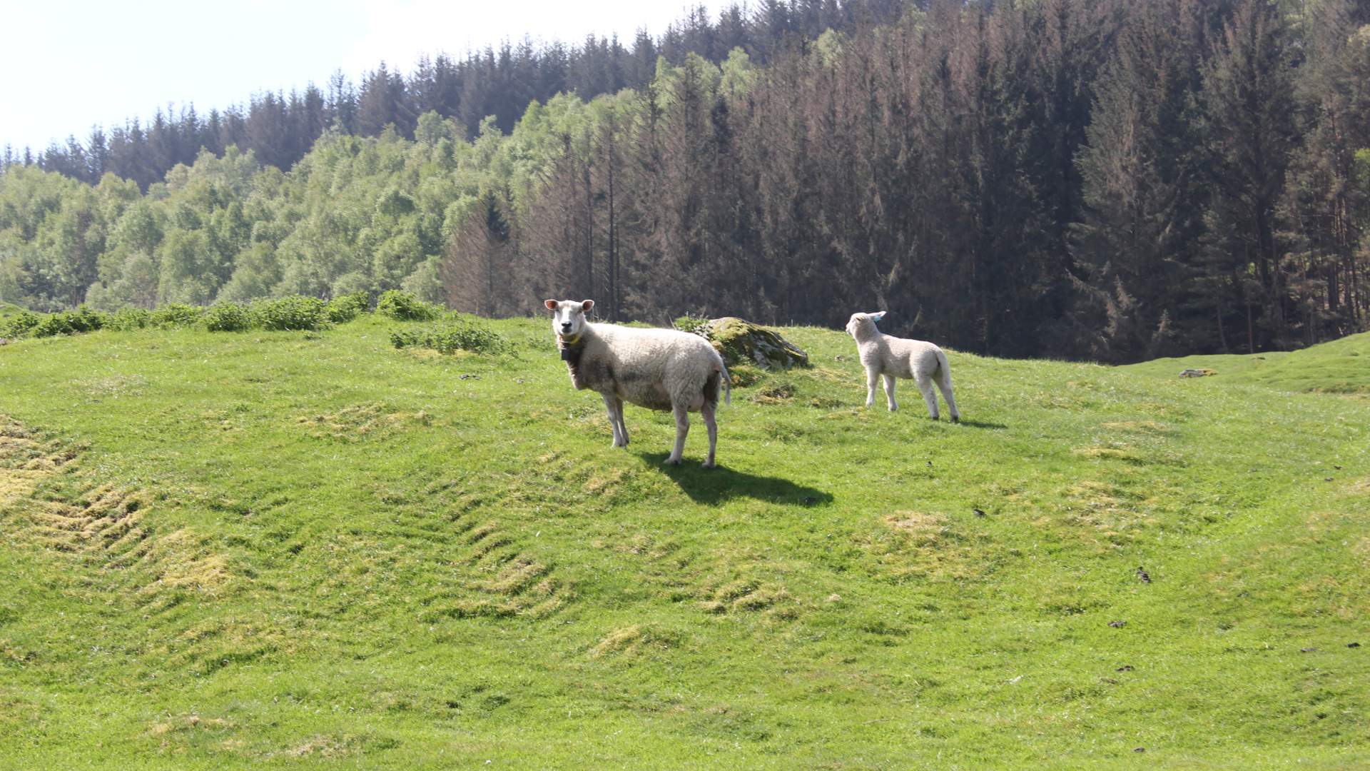 Rundtour Flekkstad - Helland auf Rennesøy