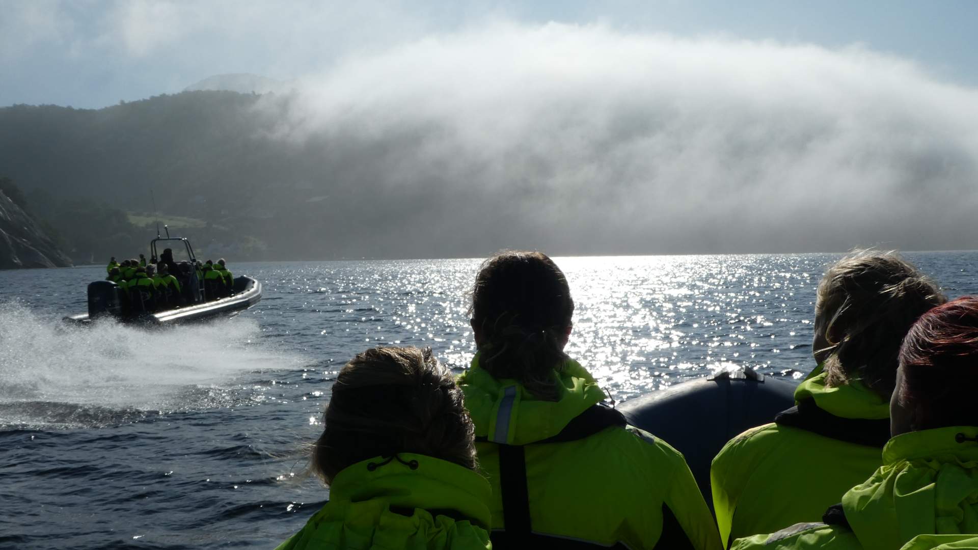 Lysefjord Safari Premium