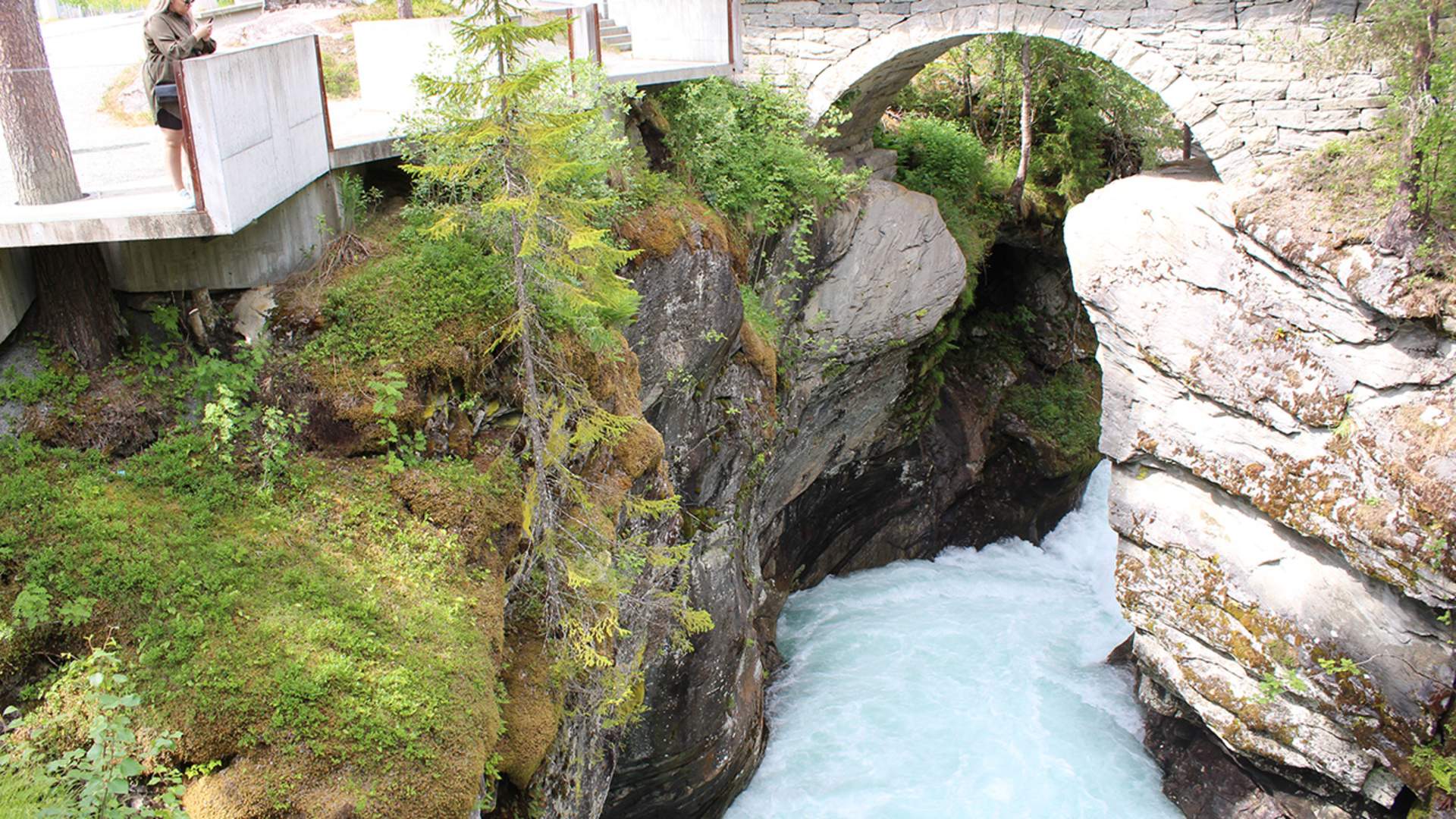 Ålesund - Trollstigen round trip