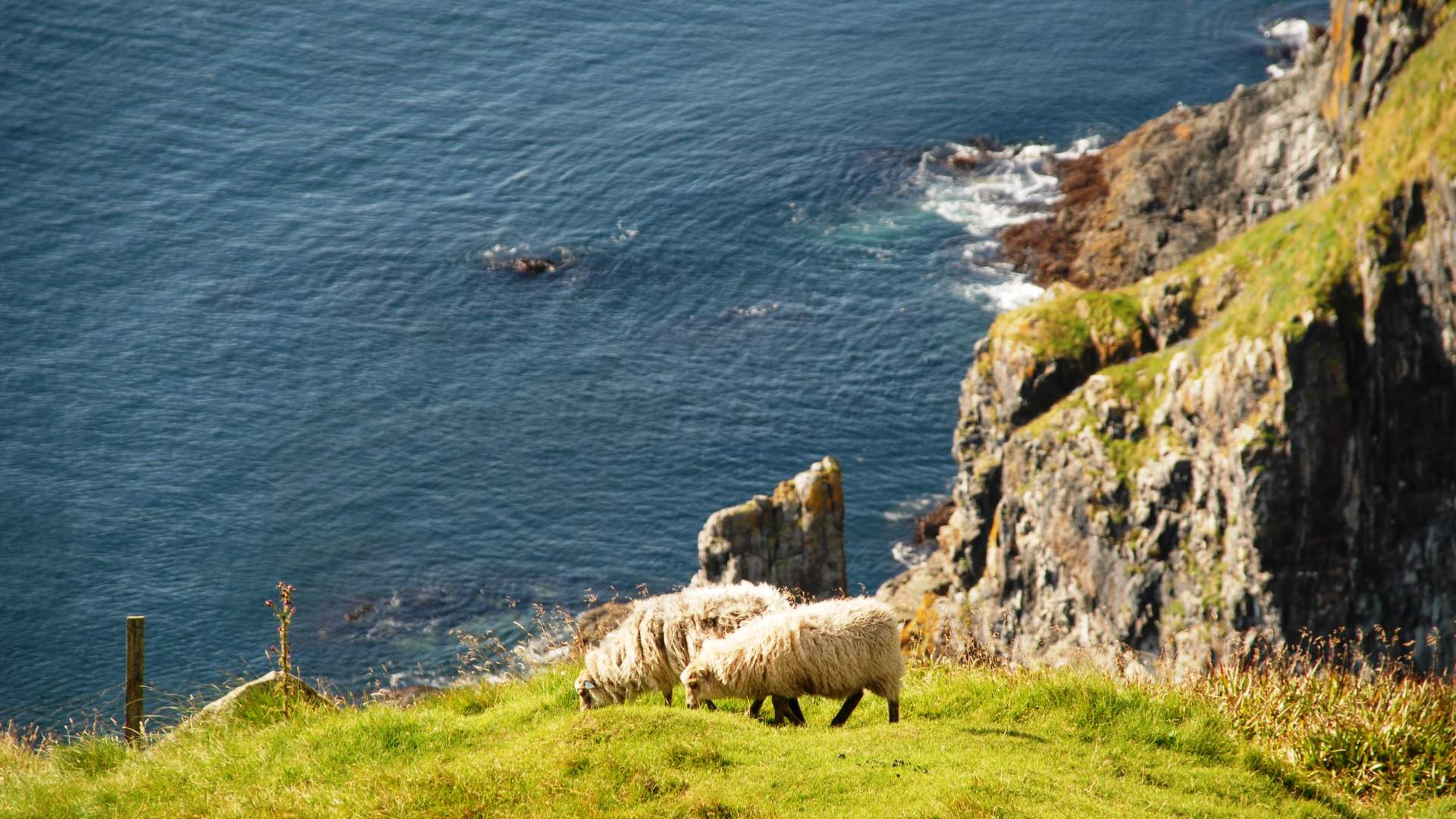 Hiking trip to Rundebranden (300 masl.)