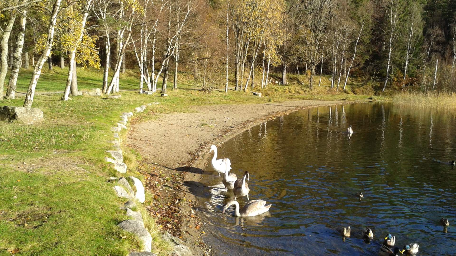 Bråsteinsvatnet lake