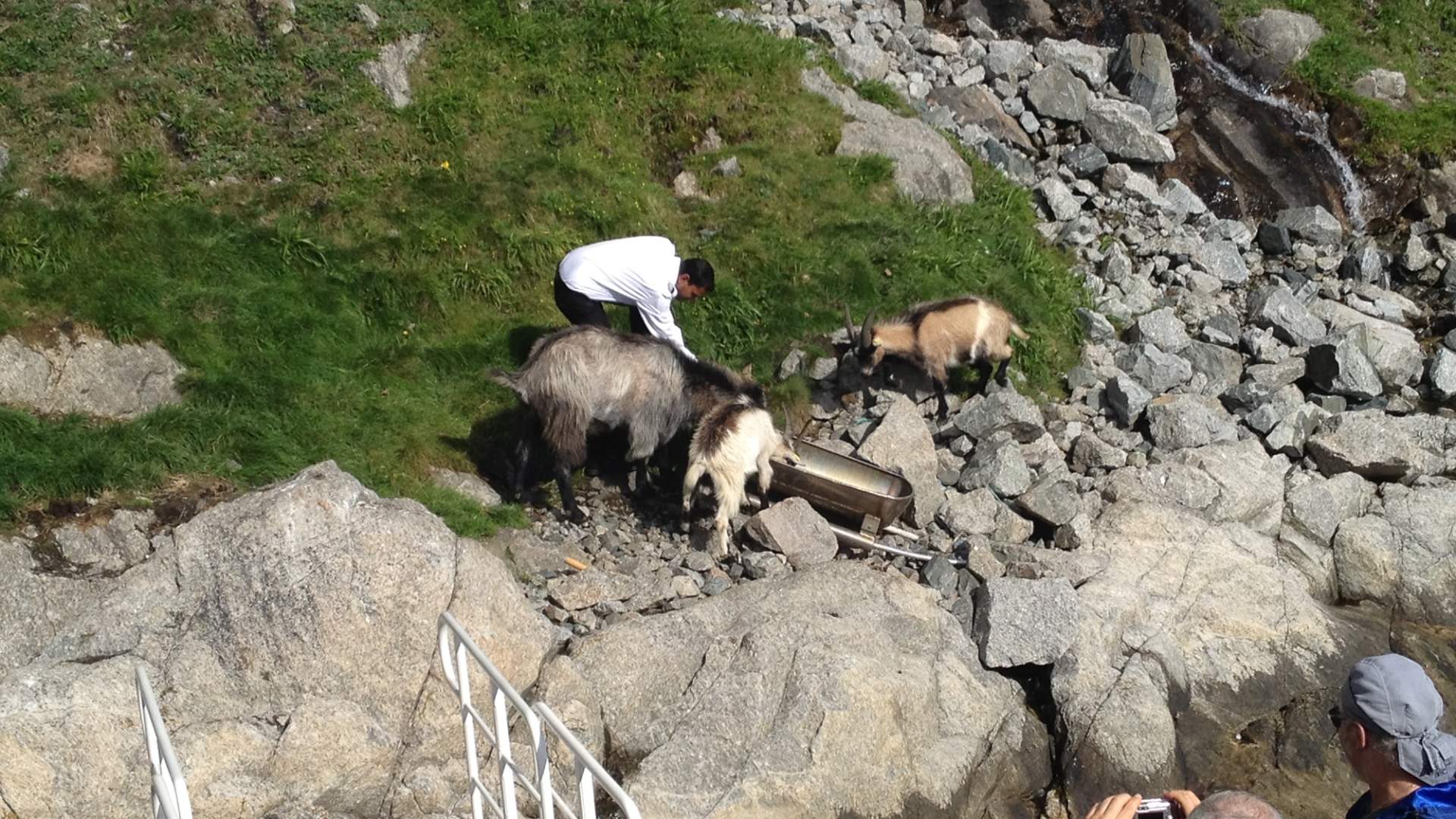 Fjord cruise to the Lysefjord and Preikestolen from Stavanger
