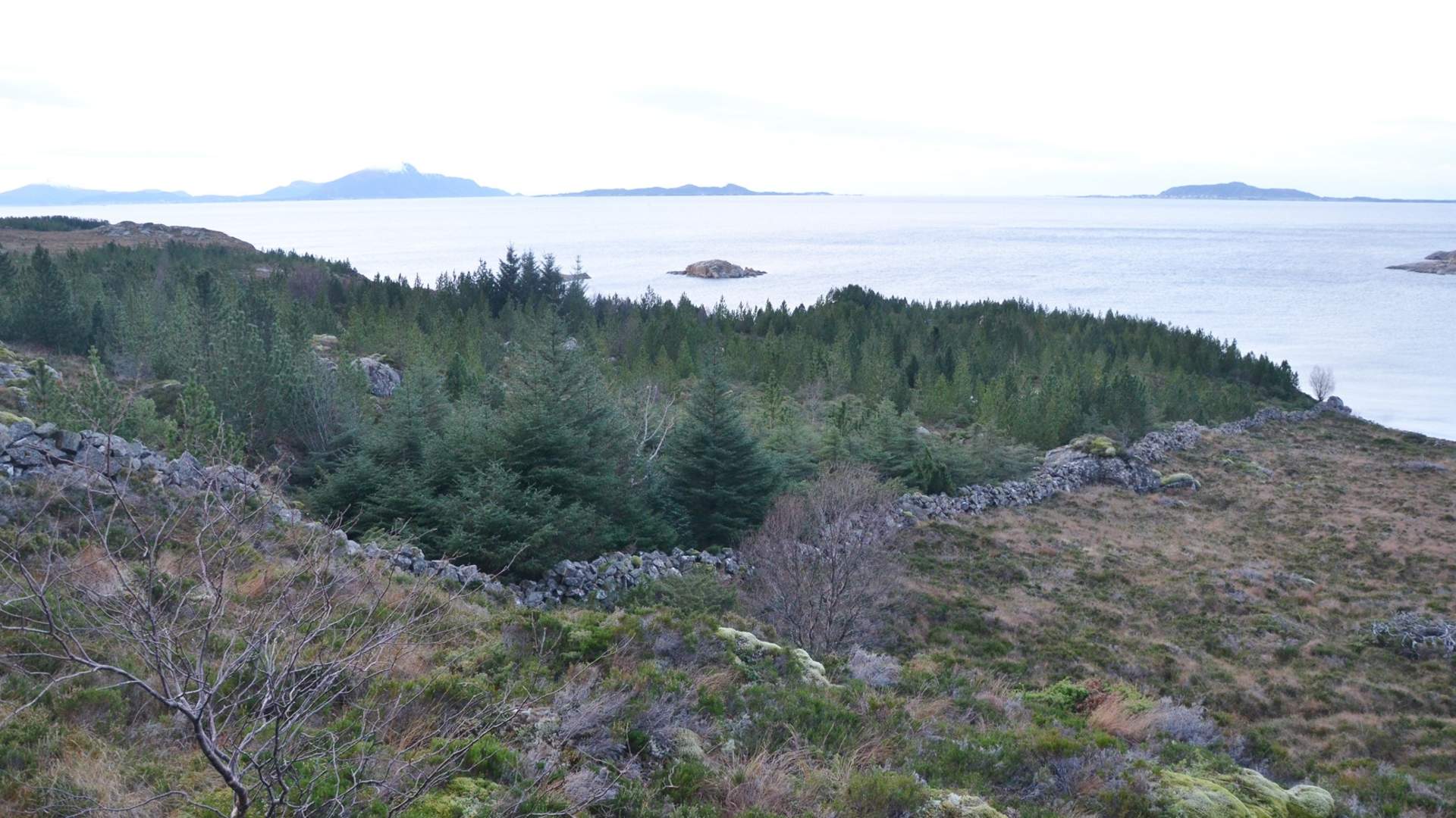 The national border on the island of Midøya