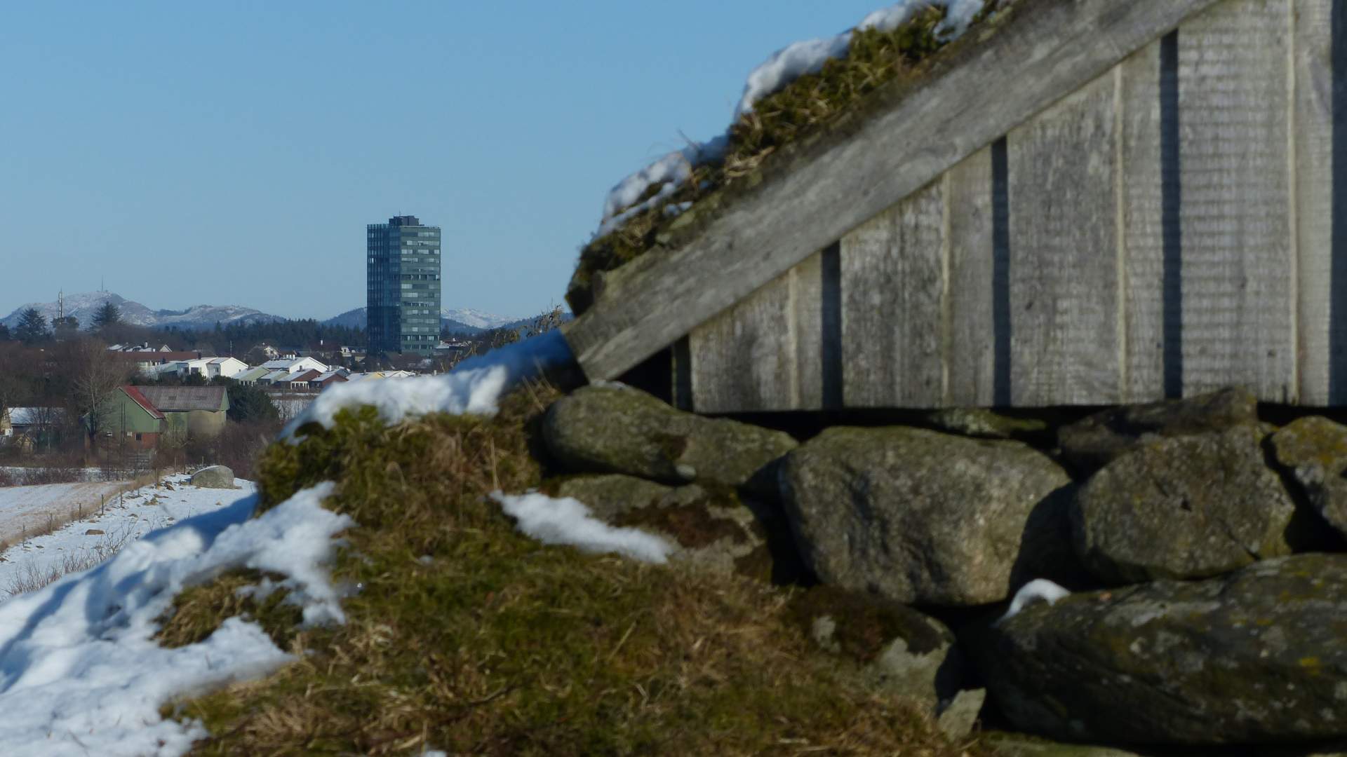 Husmannsplassen Træe