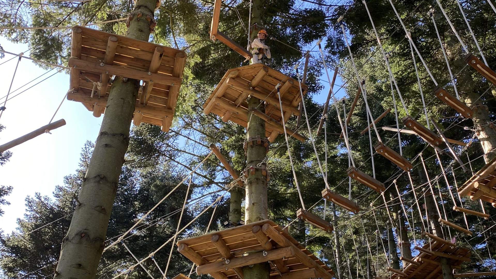 SkogSprett Klatrepark