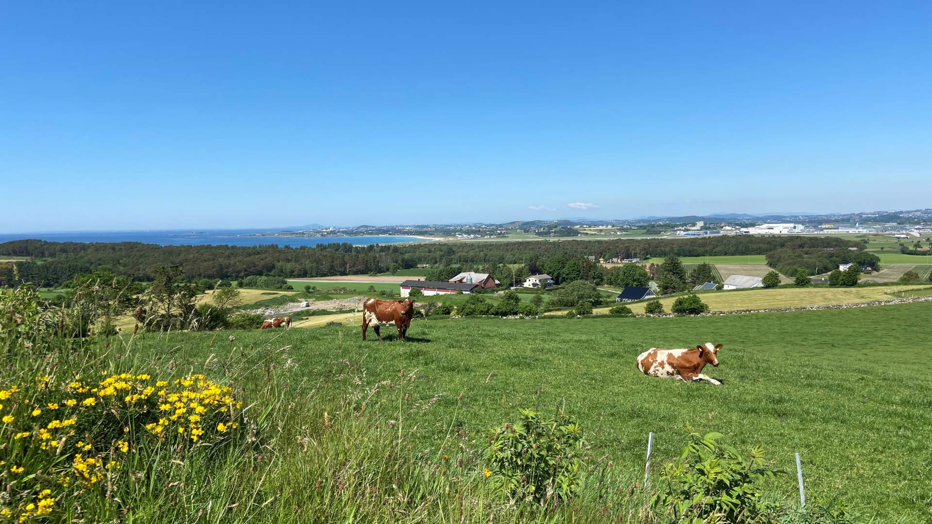 Die Grabhügel von Rege