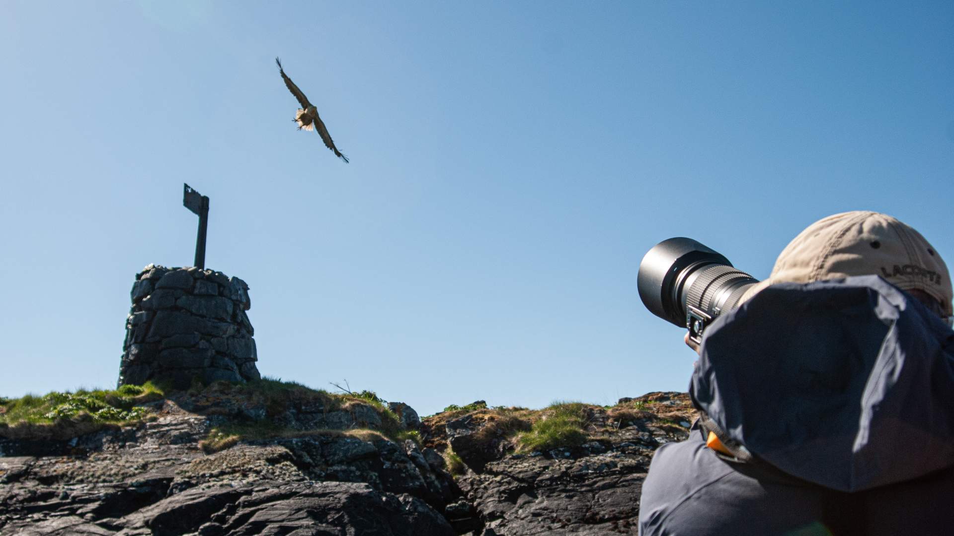 2-hour White Tailed Eagle Safari- Smøla Naturopplevelser