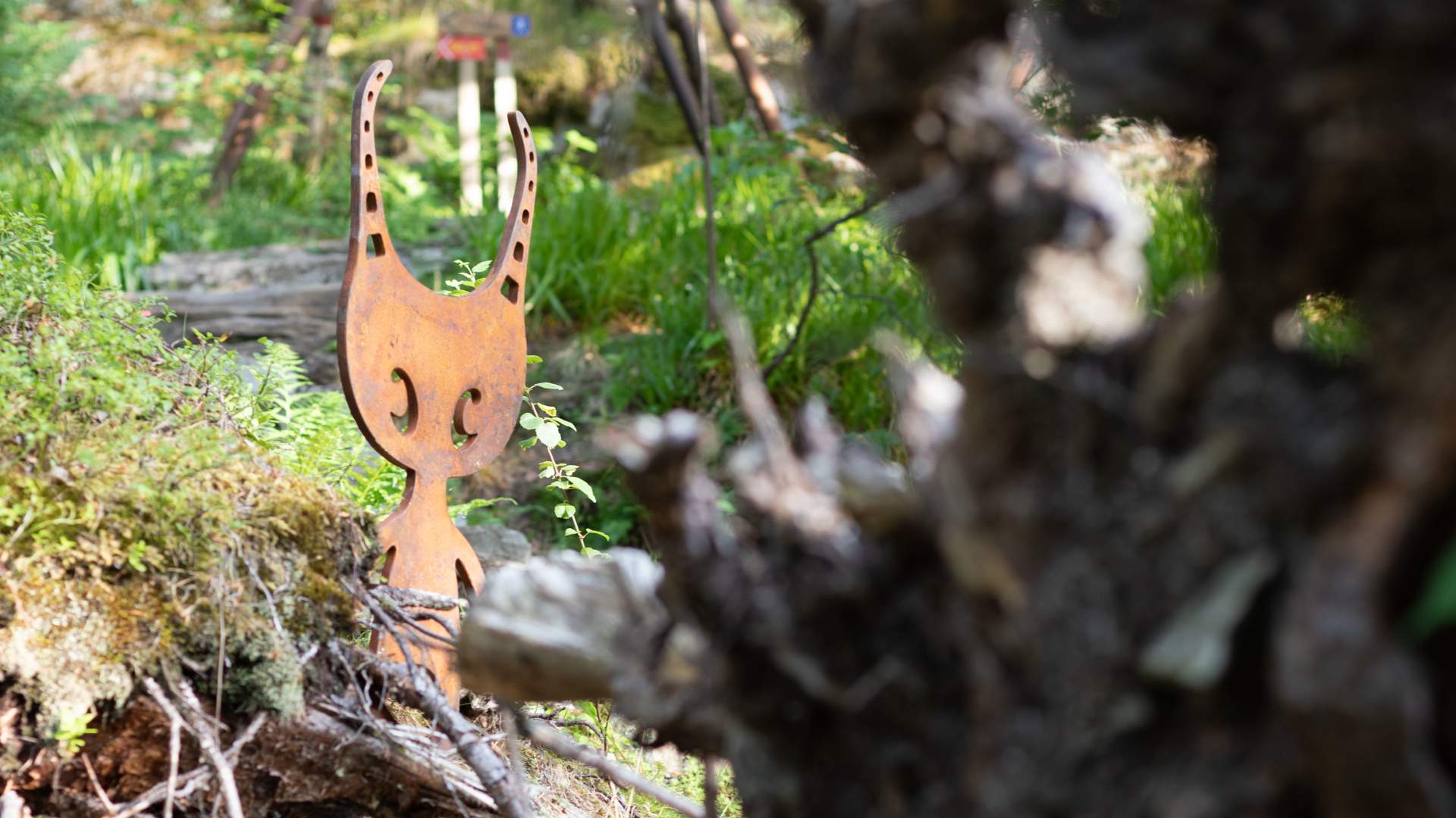 EvenTURskogen med guide