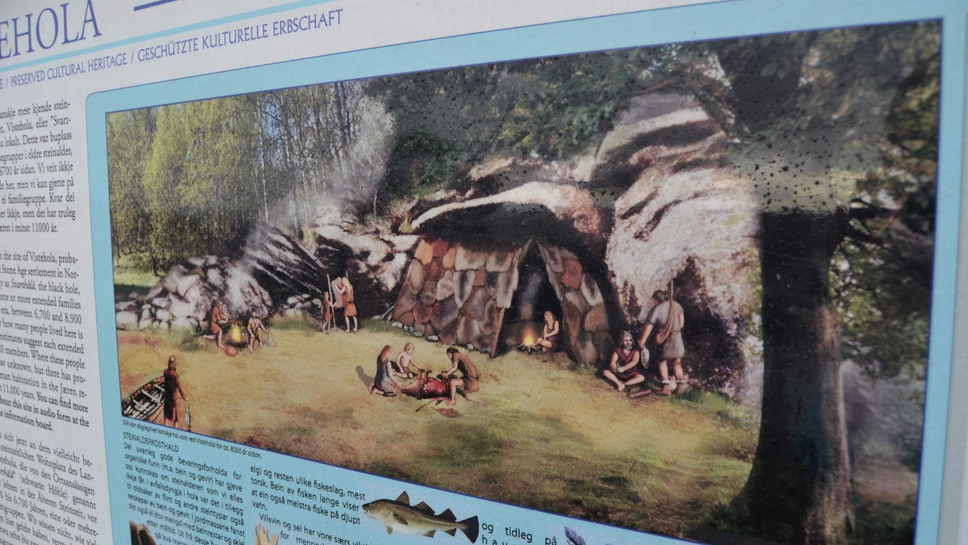 Vistehola (Svarthola)