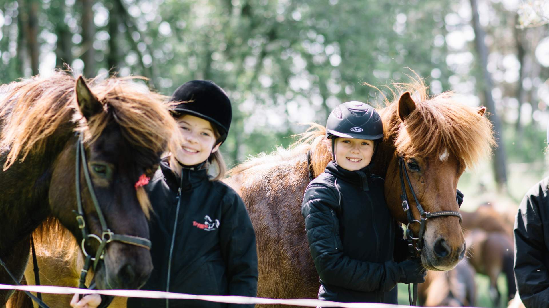 Tryggvi Islandshestgård