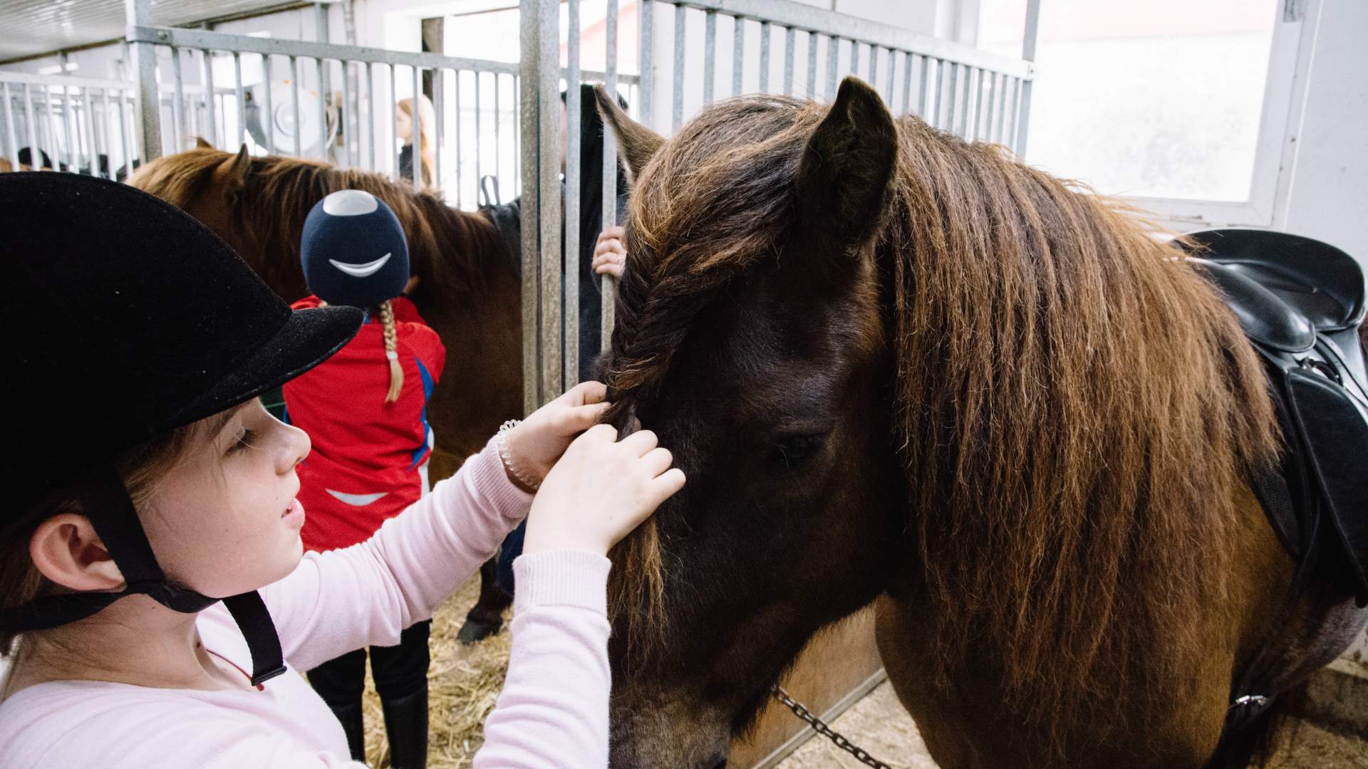 Tryggvi Islandshestgård