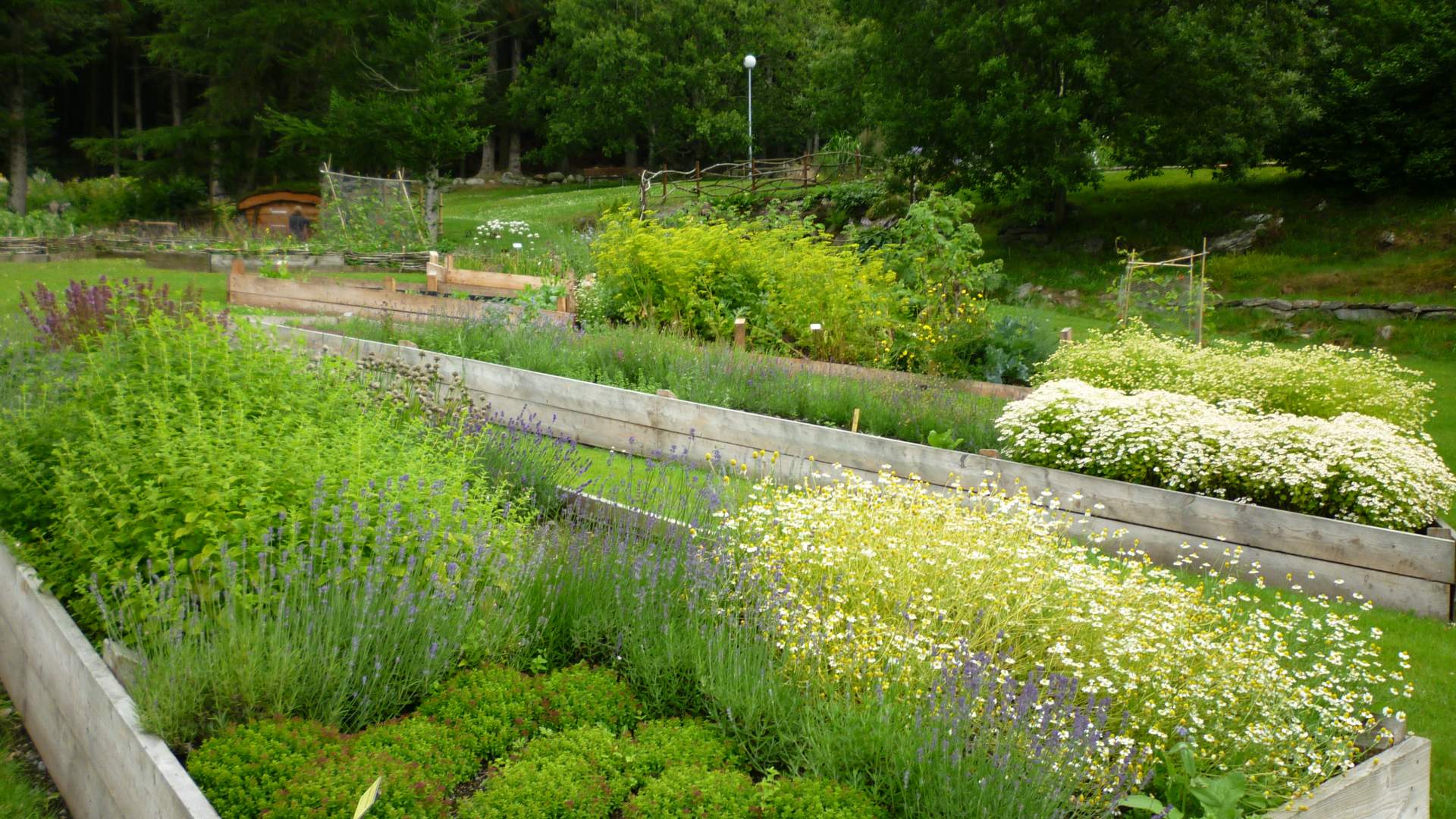 Stavanger Botanic Garden