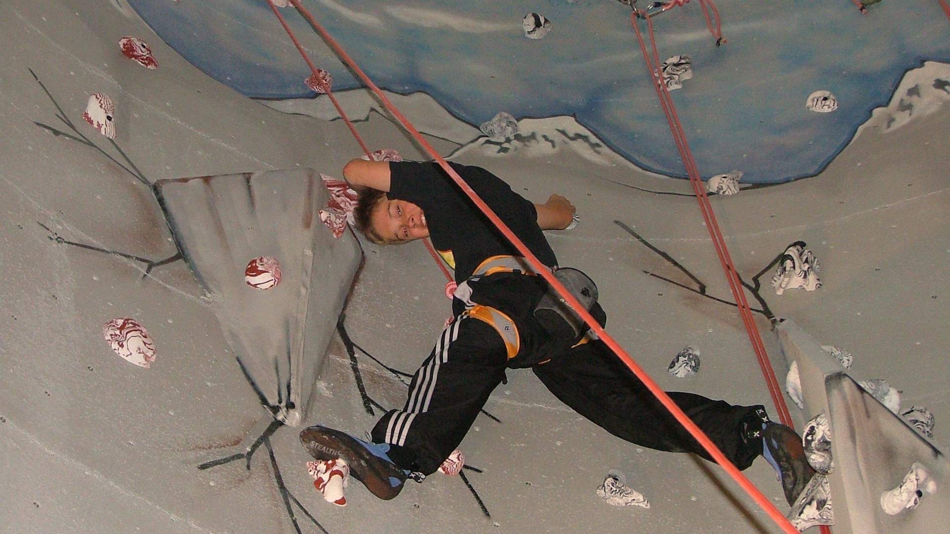 Stay at Fossanmoen Icelandic horse centre, close to the Lysefjord