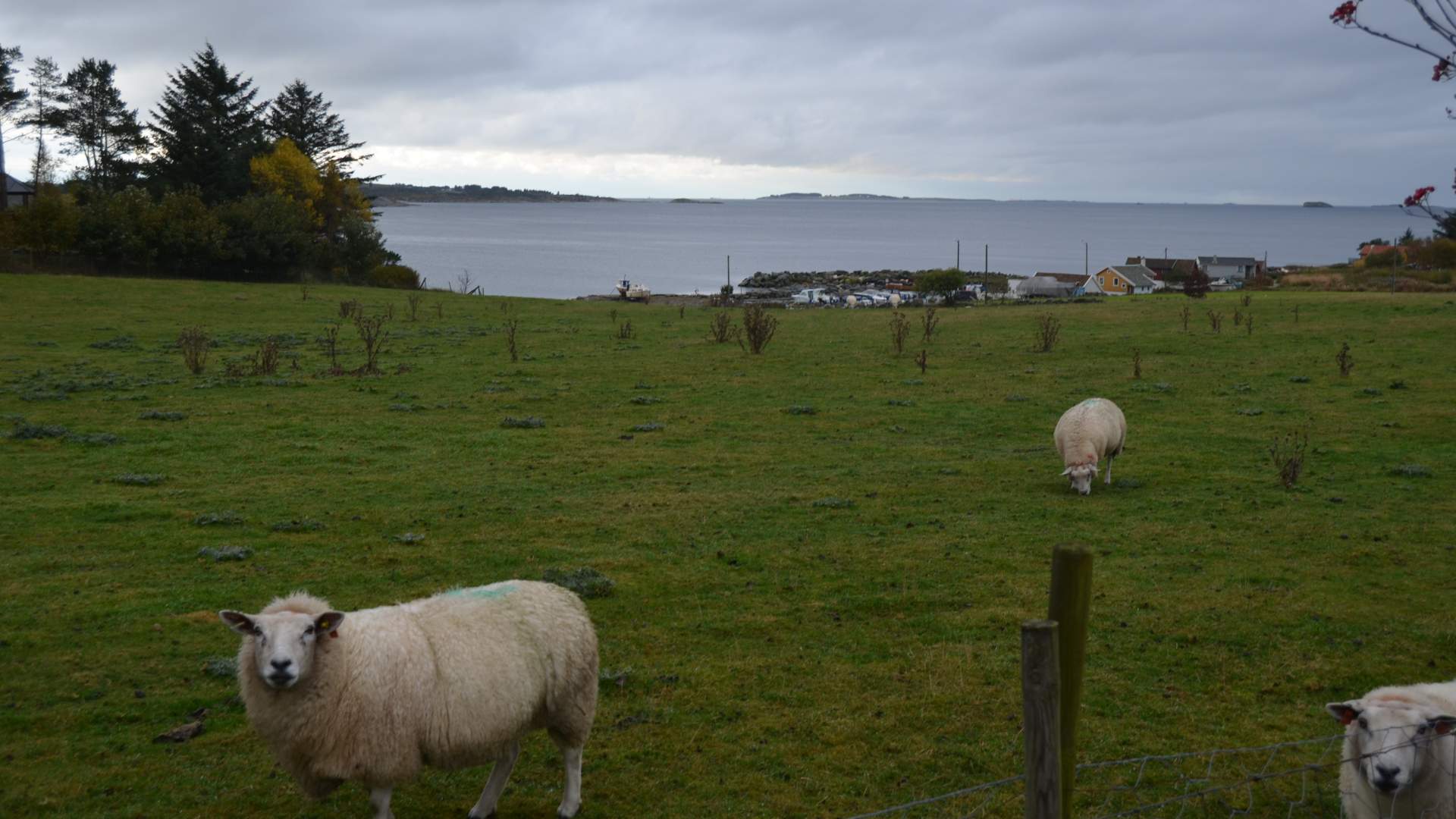 Vistehola (Svarthola)