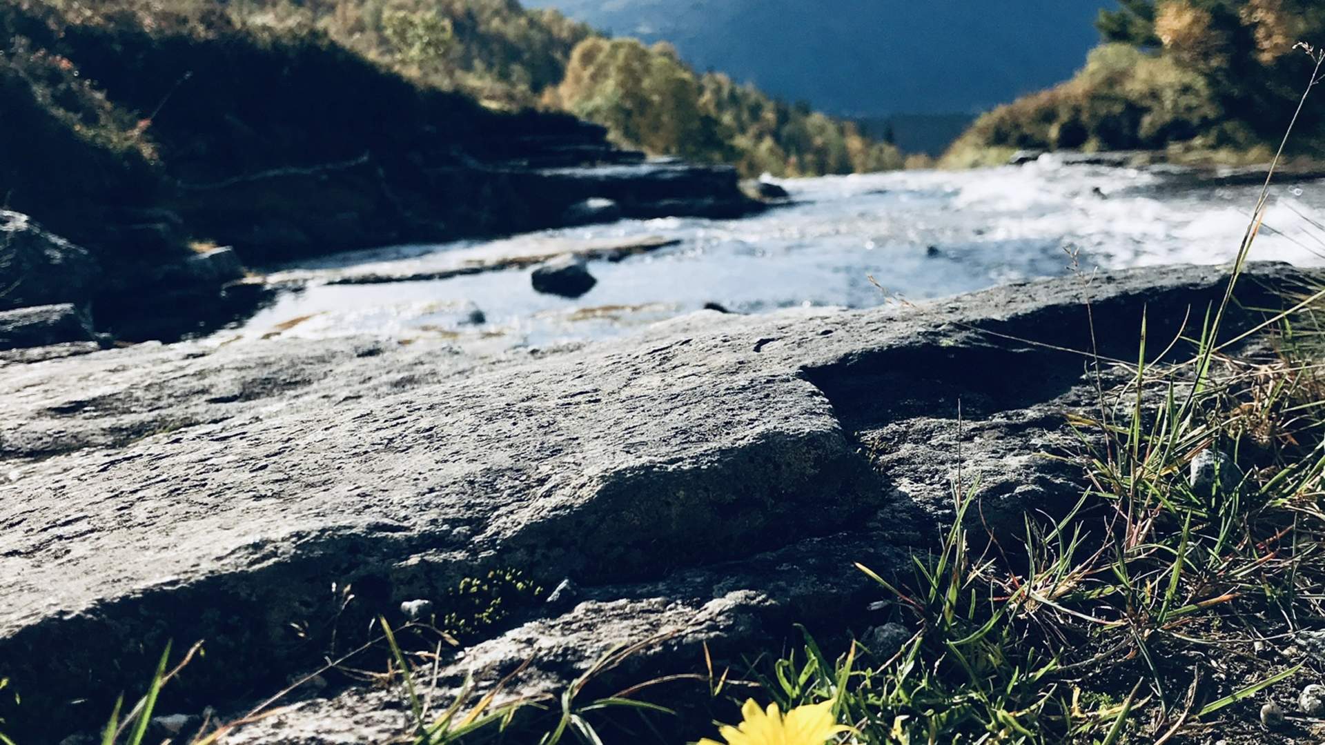 Workation i Romsdalen - kombiner jobb og naturopplevelser med bortekontor