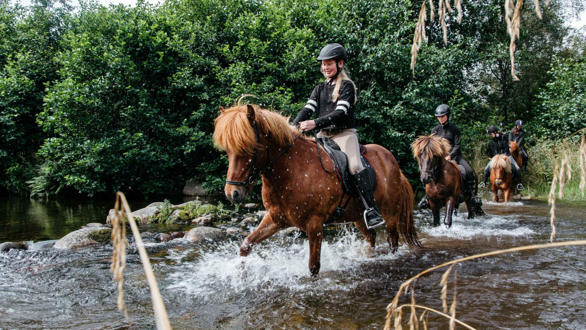 Tryggvi Islandshestgård