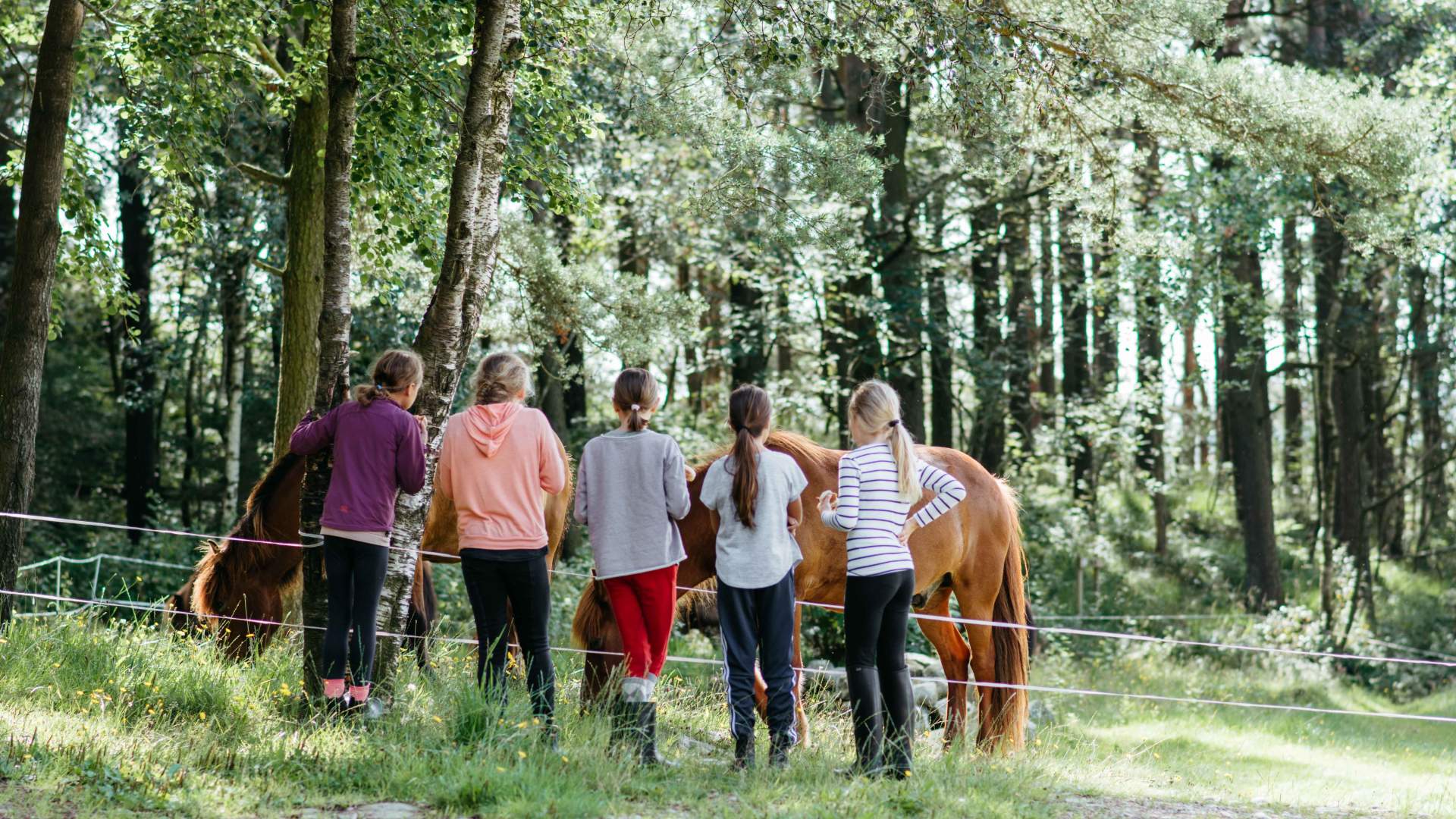 Tryggvi Islandshestgård