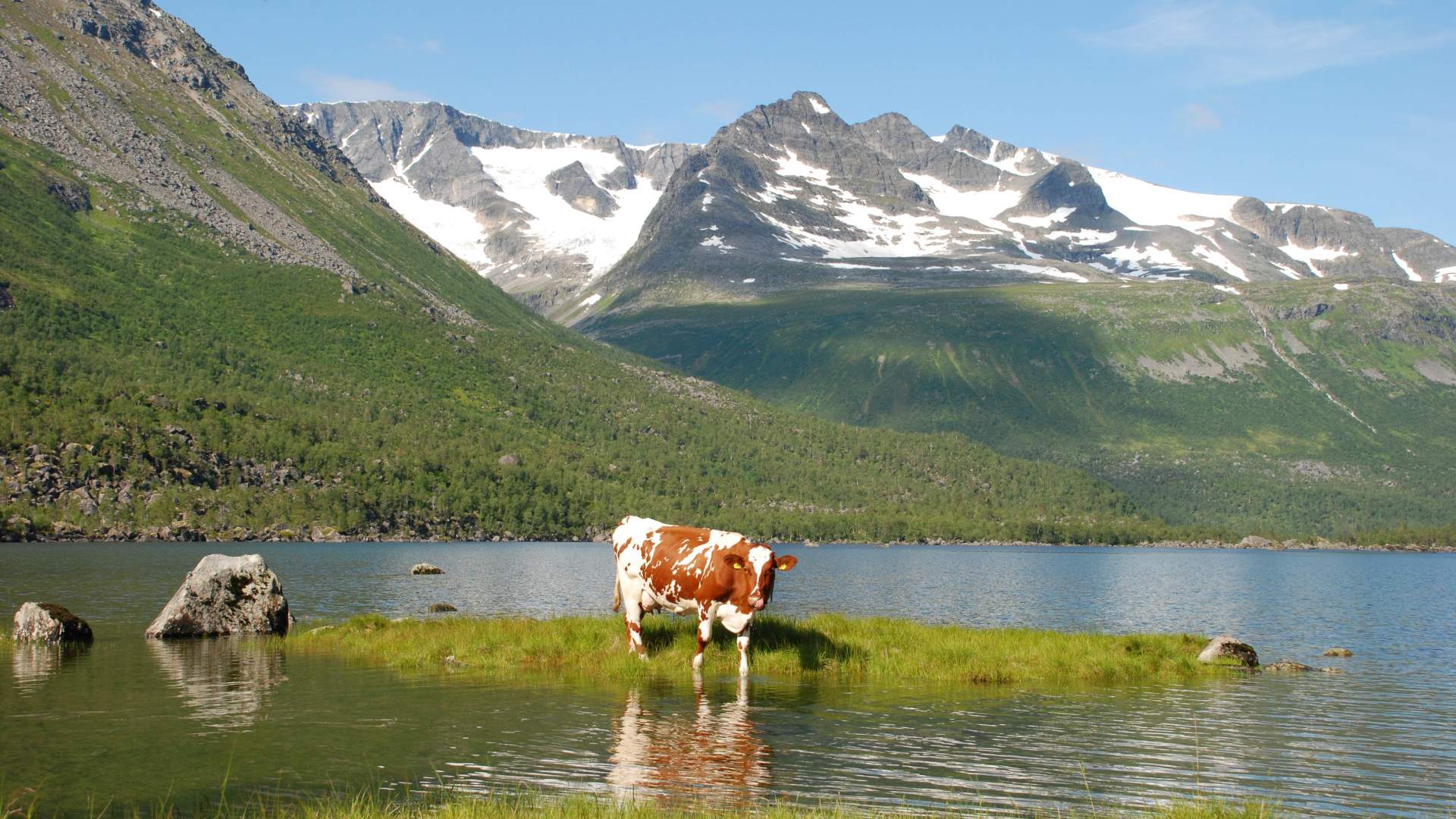 Renndølsetra - Summer pasture farm hotel in Innerdalen