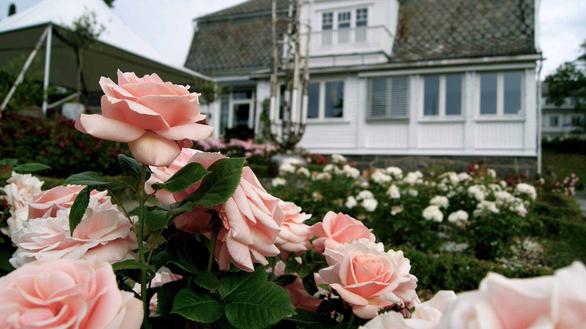 Restaurant Villa Rosehagen in Jørpeland