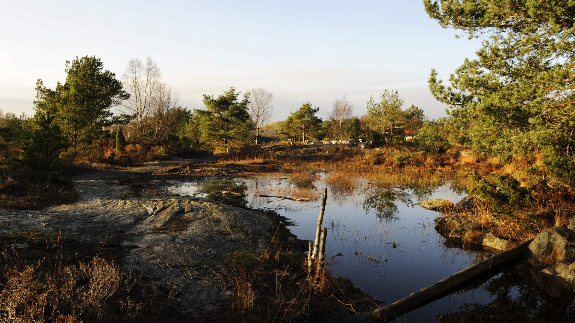 Salamanderparken i Sveio sentrum