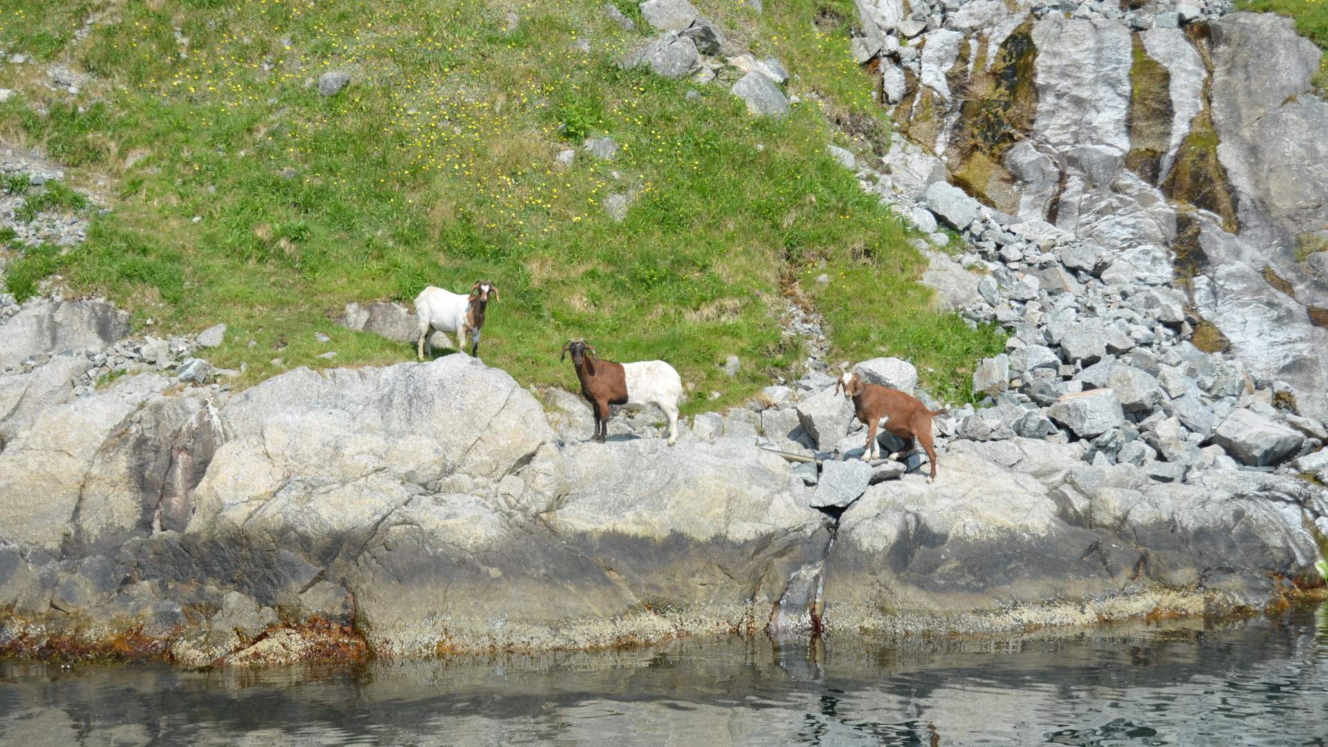 Fjord cruise on the Lysefjord