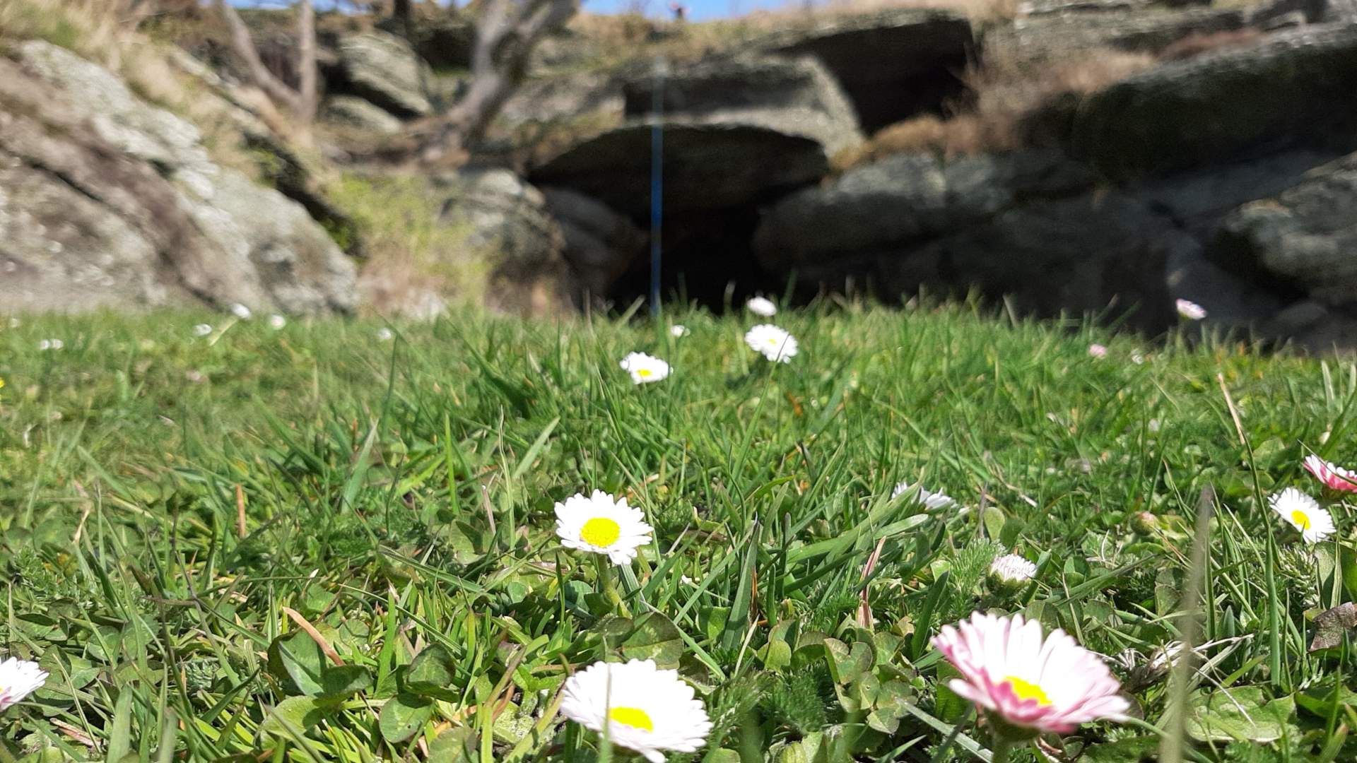 Vistehola (Svarthola)