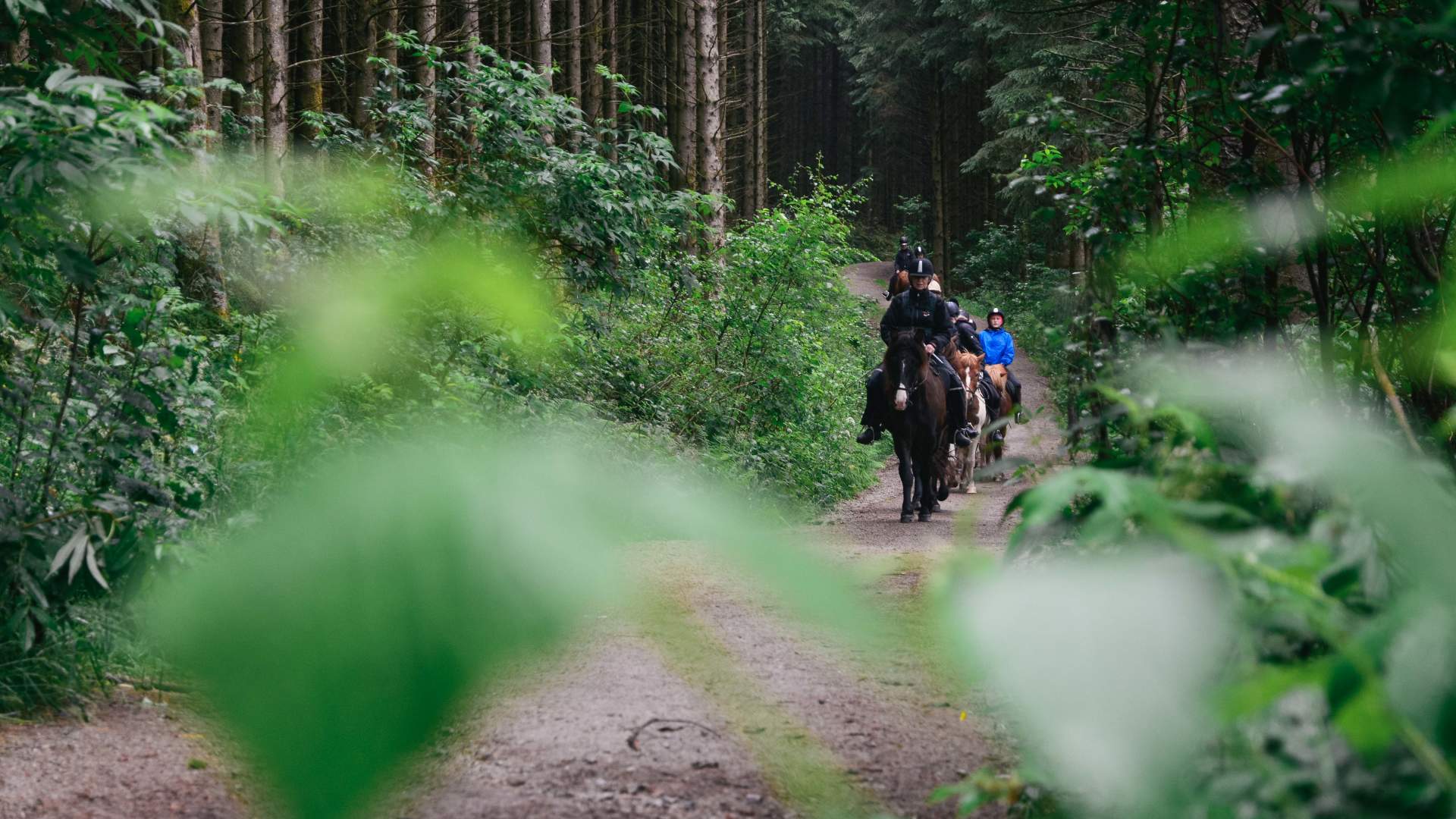 Tryggvi Islandshestgård