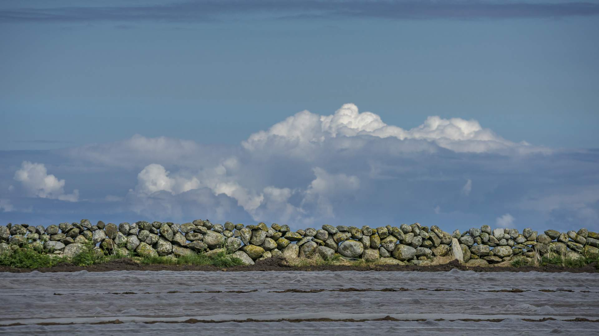Nasjonal turistveg Jæren