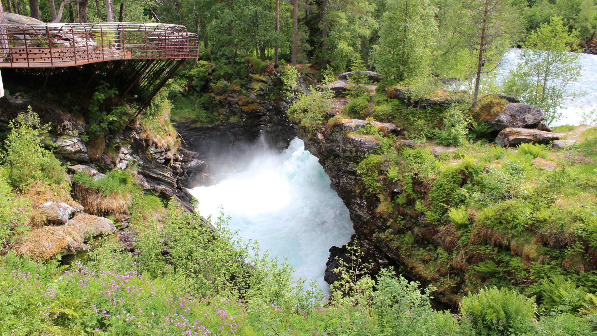 Ålesund - Trollstigen round trip