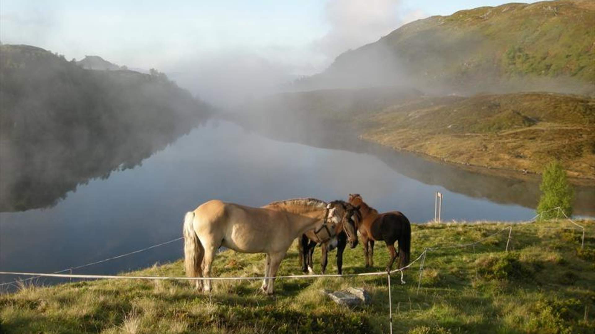 Reiten zum Vikastølen