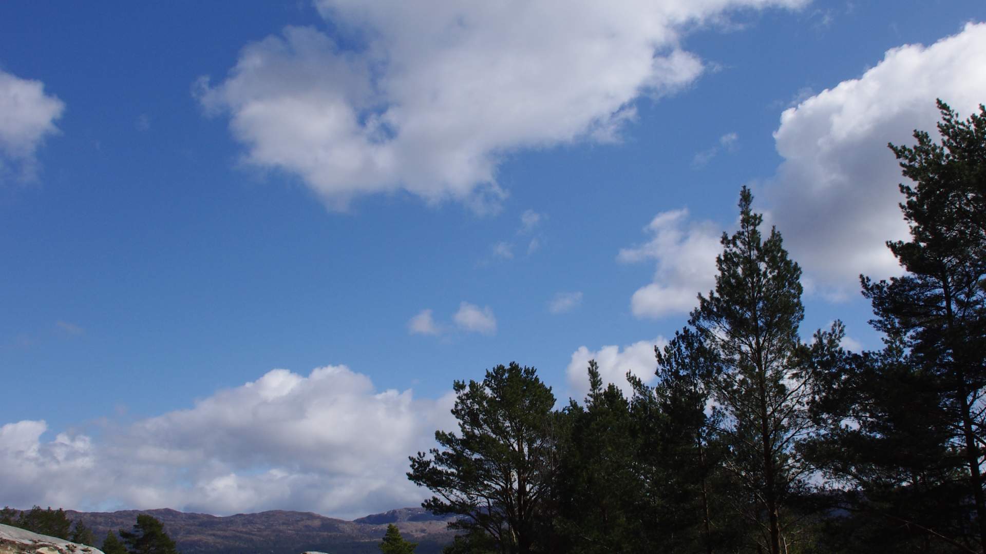 Cycling in Kråko Sea Cabin area (13.5 km)