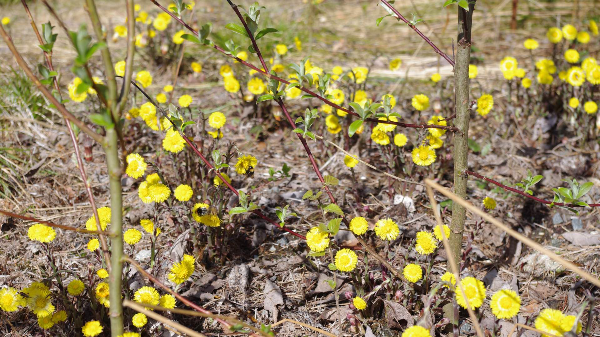 Cycling in Kråko Sea Cabin area (13.5 km)