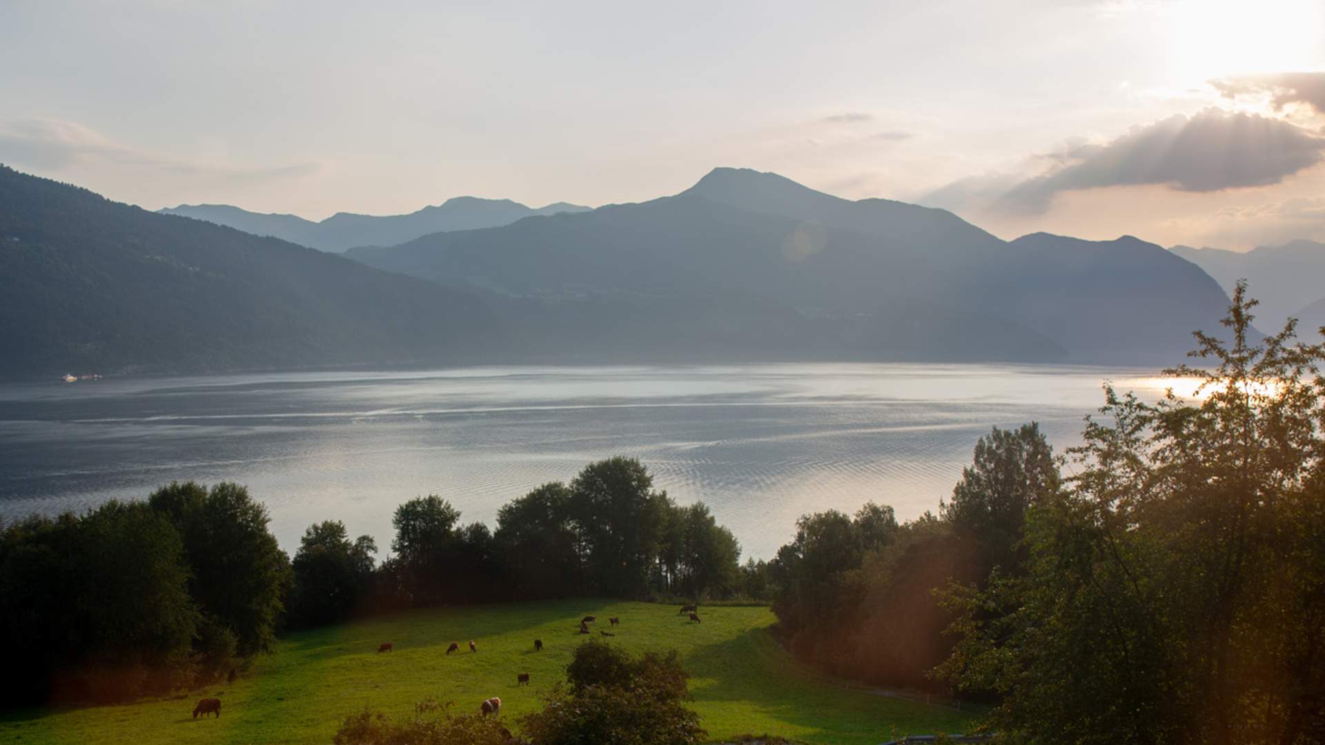 Gardsbutikken på Skarbø Gard