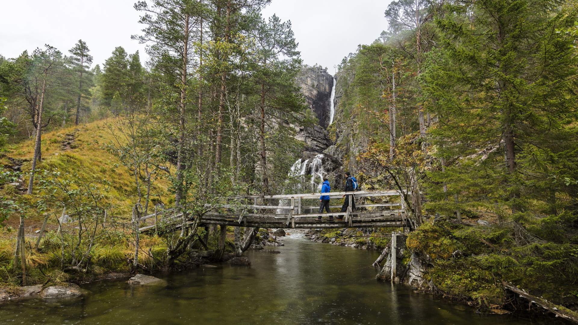 Hike to Nauståfossen waterfall at Kårvatn