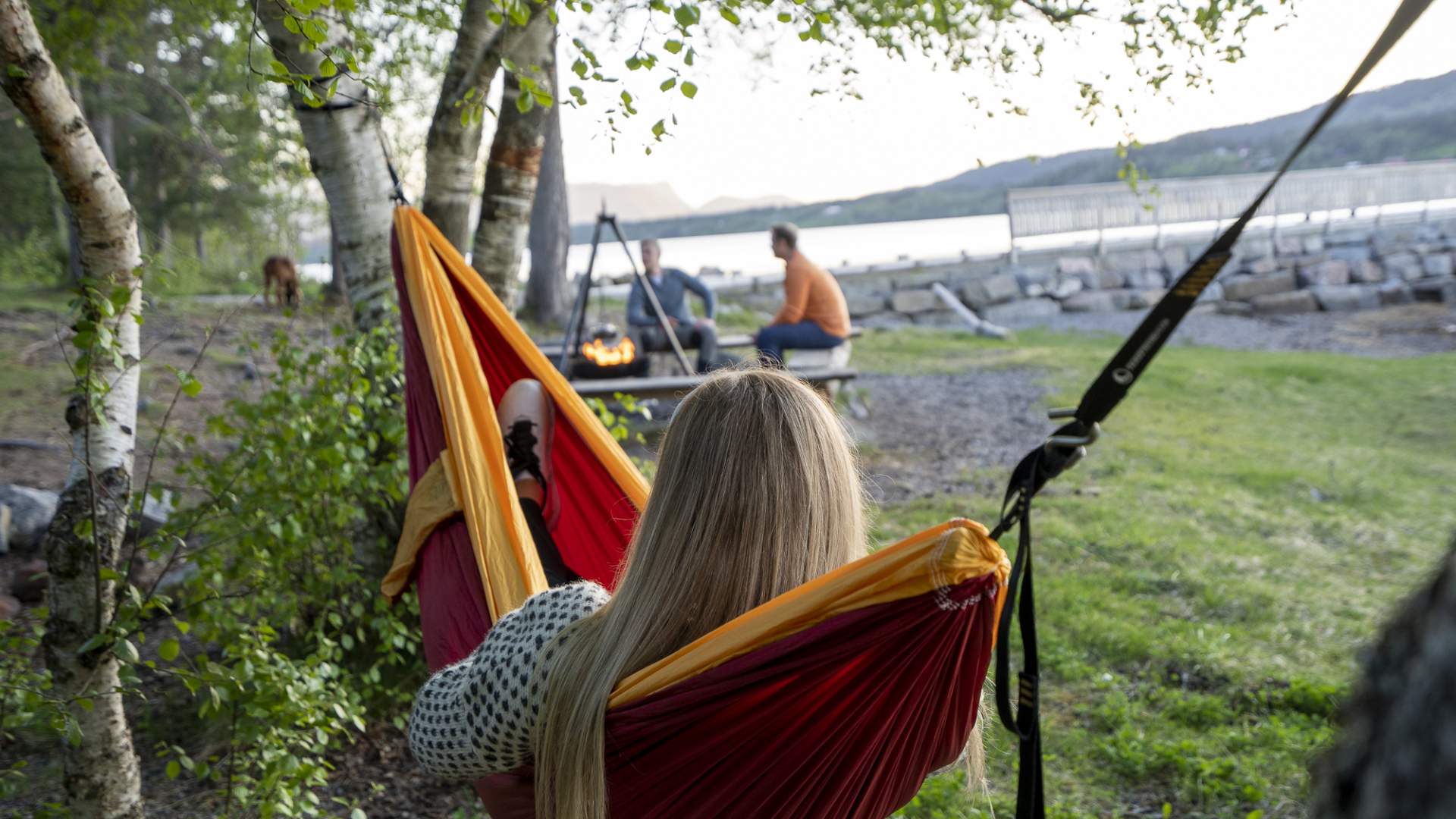 Sport1 Tomra in Vestnes