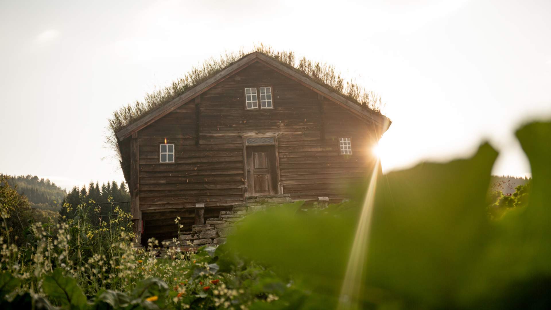 Visit the cheese- and cider farm Skarbø