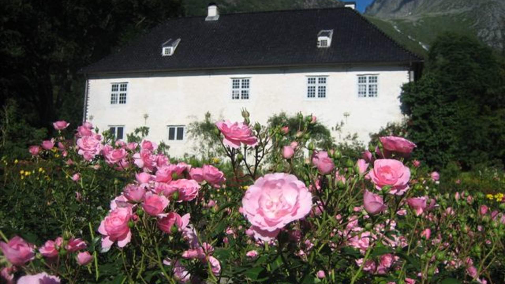 Rosendal Greenhouse Café