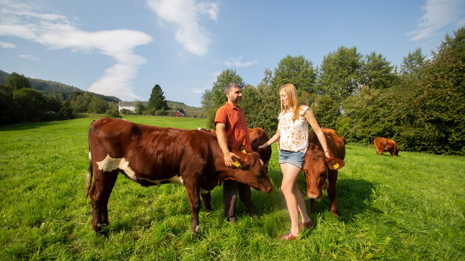 Visit the cheese- and cider farm Skarbø