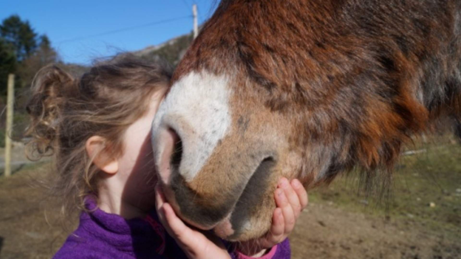 Valevåg Camping und Hüttenhof