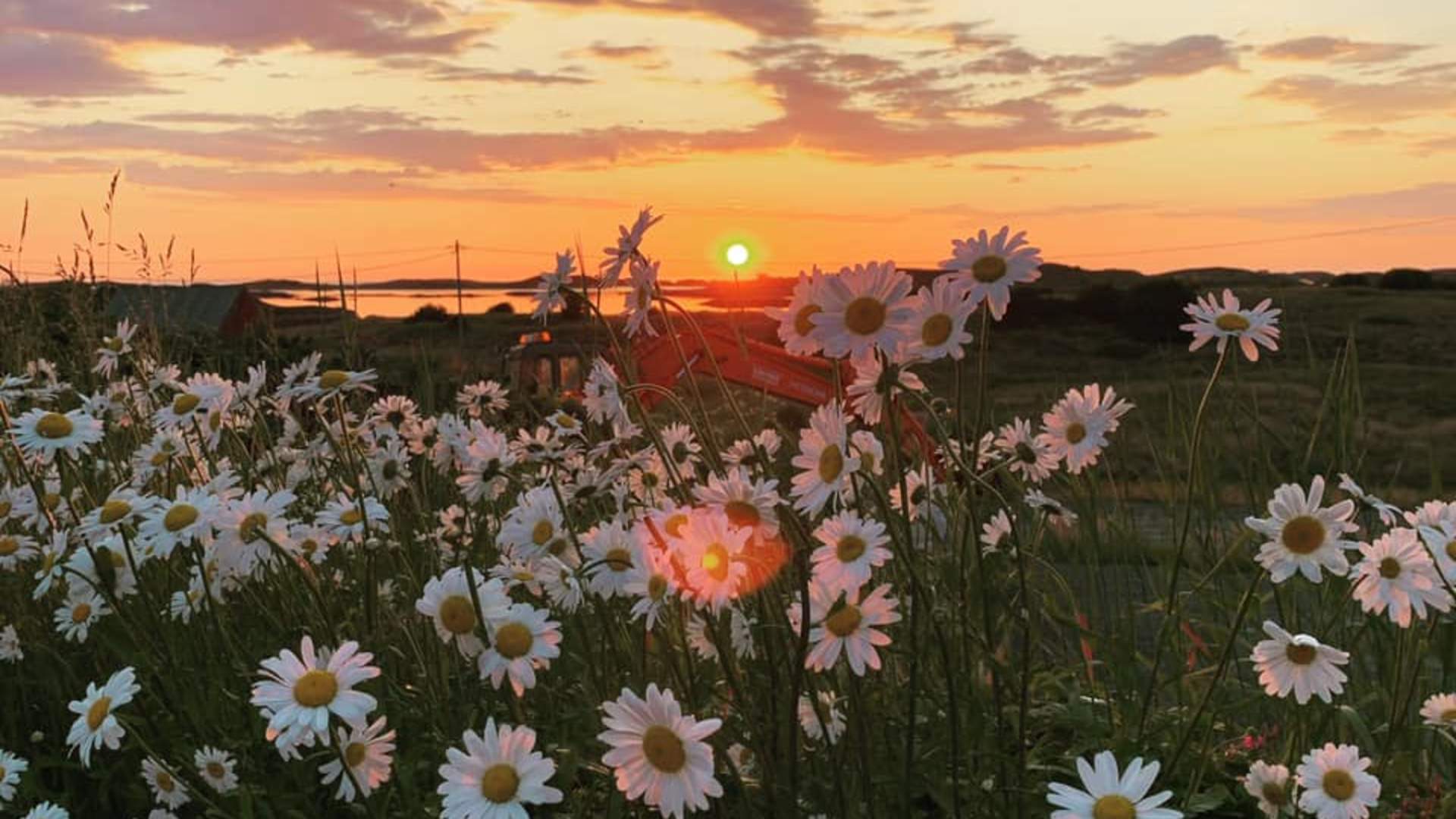 Villsaugården accommodation Sjøbua
