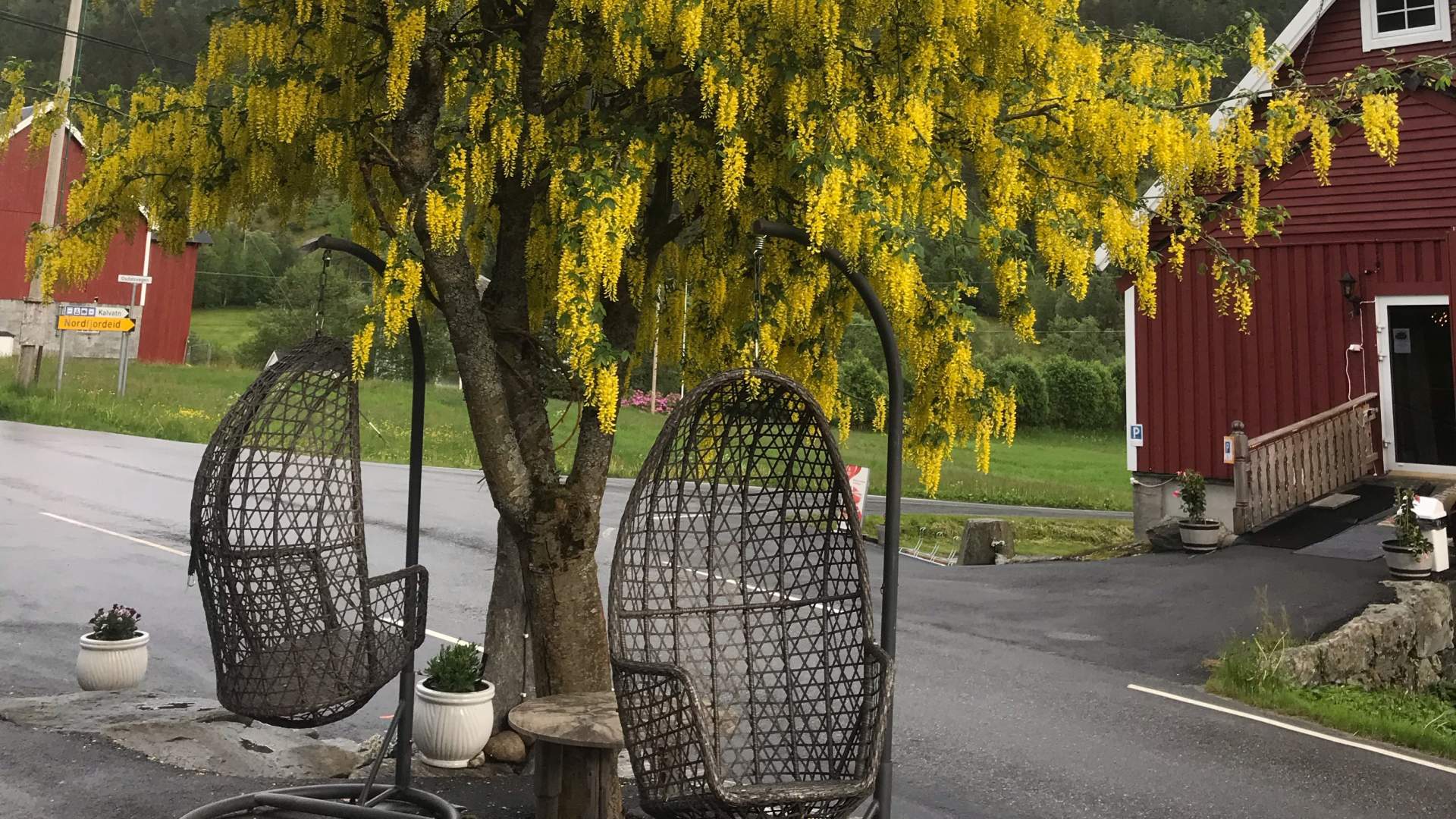 Josybuda Bed & Breakfast