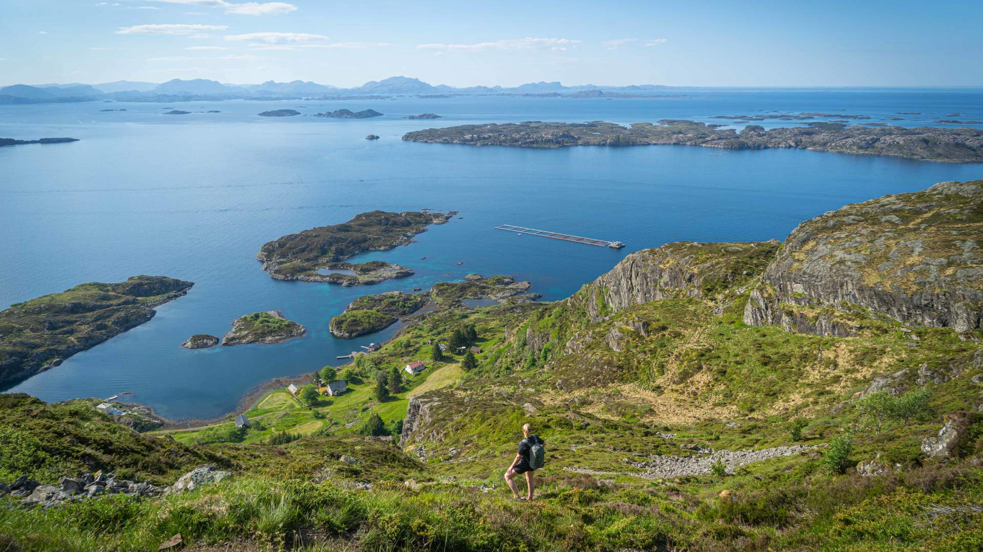 Hike to Alden - The Norwegian Horse