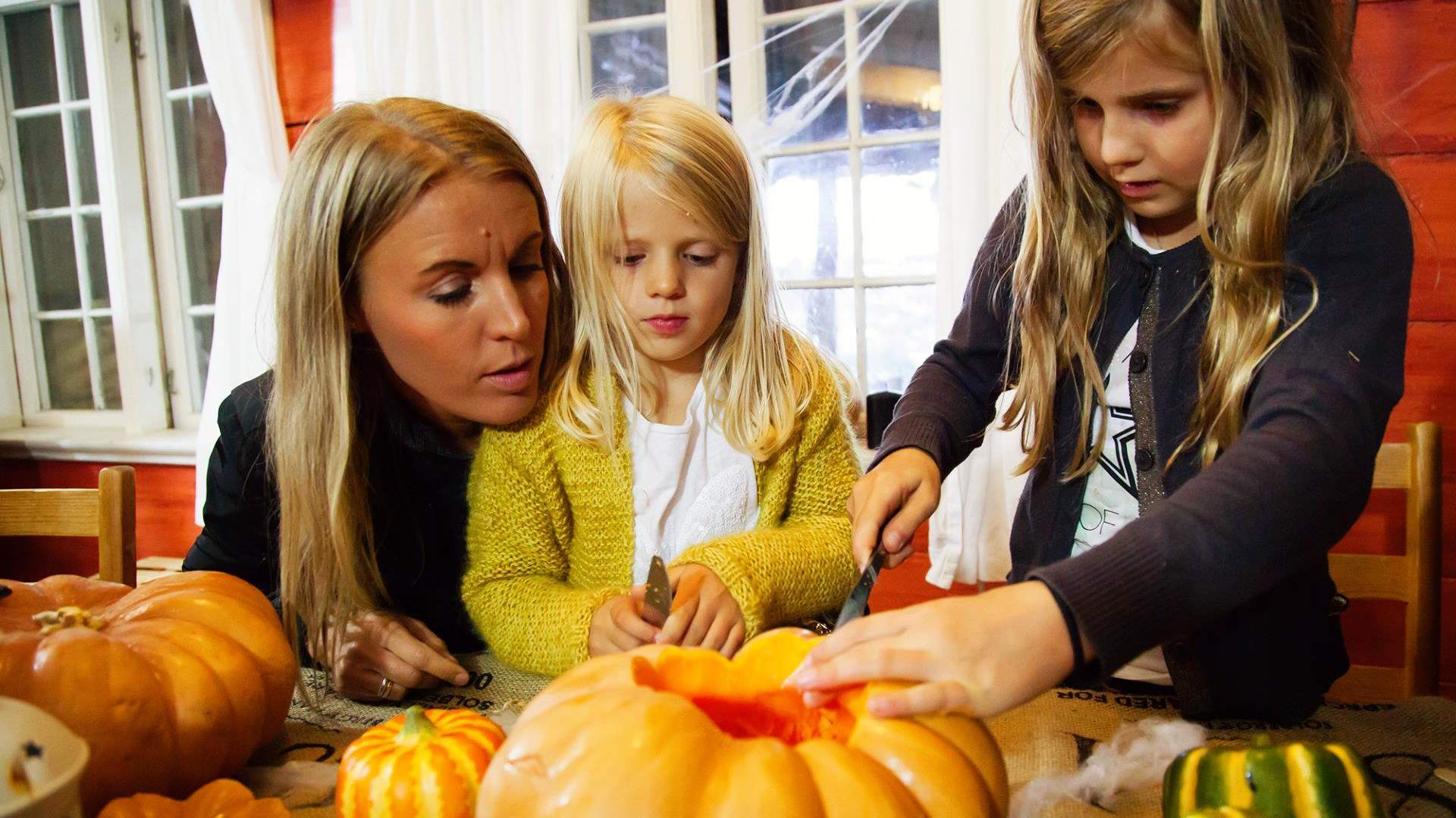 Discover everything that Kongeparken has to offer in two days