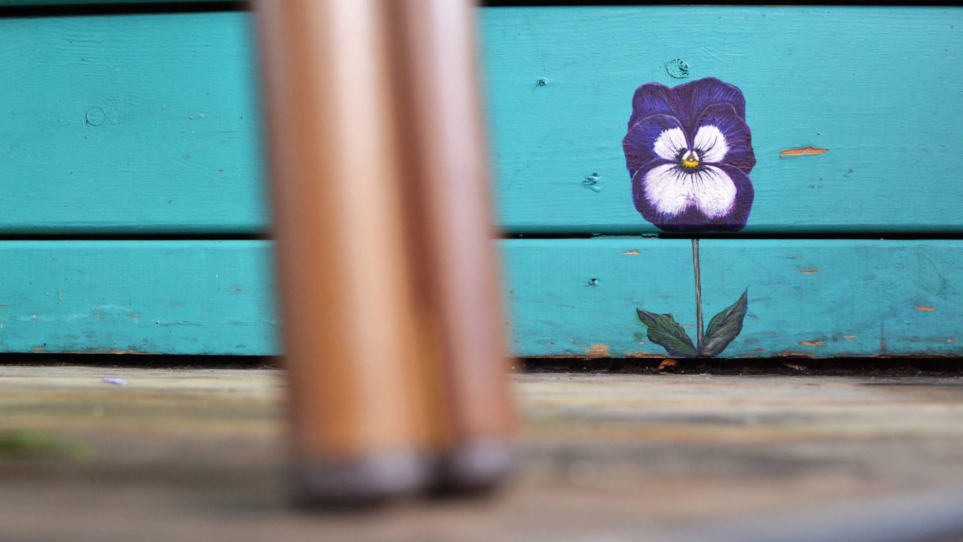 Stavanger Street art: "“Jævla Homo!” – The Pansy Project" by Paul Harfleet