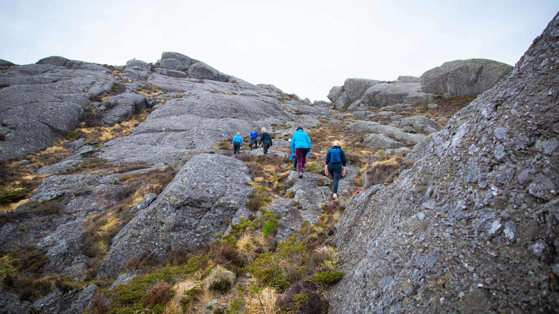 Fjelltur til Ramnenipa frå Hardbakke