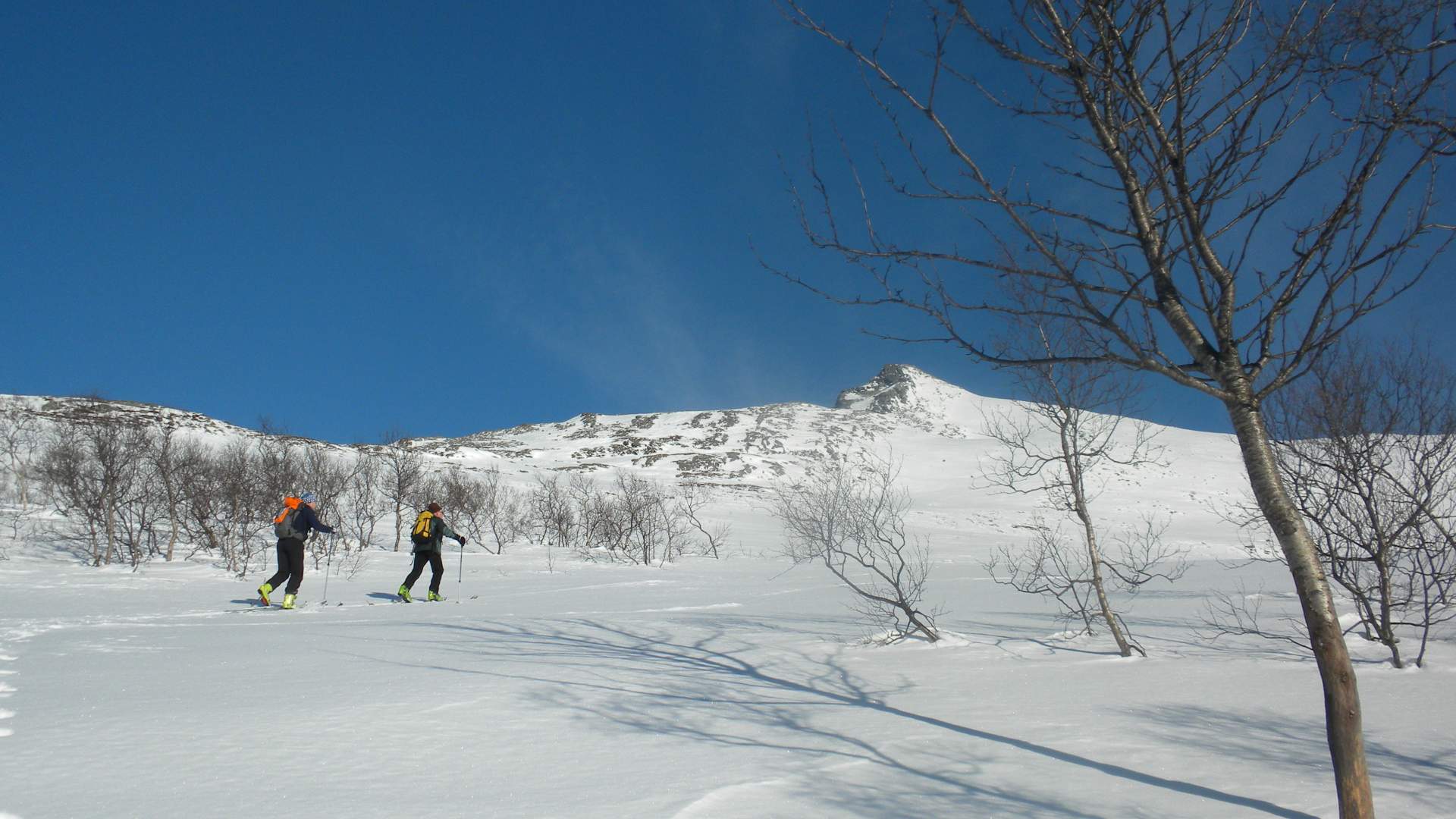 Topptur til Svarttind