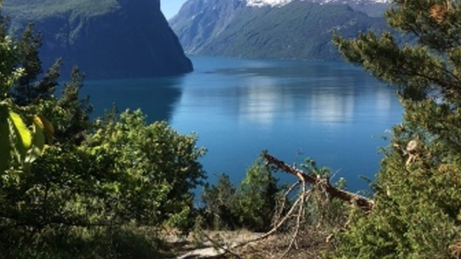 Guidet busstur fra Åndalsnes til Molde i fjord- og fjellandskap
